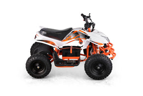 Youth Electric Quads