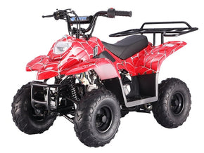 Youth Small ATVs