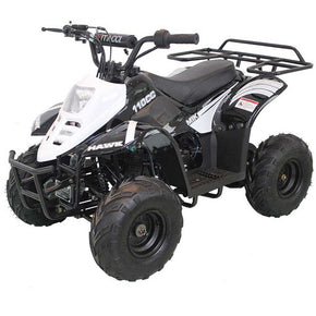 Youth Small ATVs